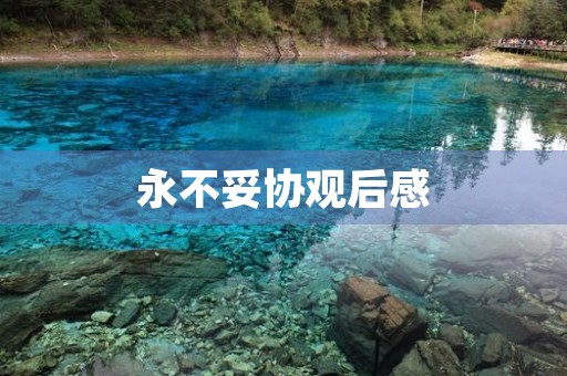 永不妥协观后感