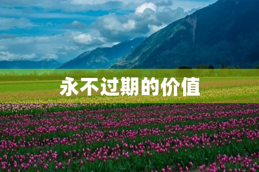 永不过期的价值 永不过期的价值