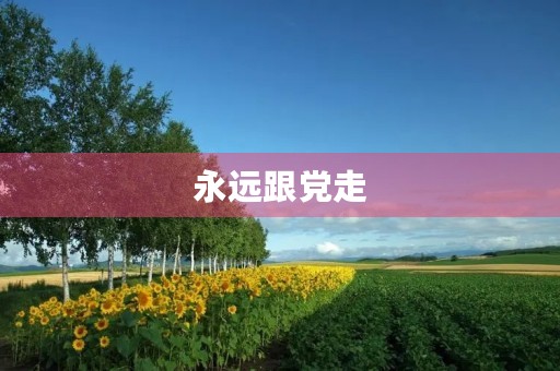 永远跟党走 永远跟党走