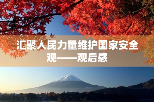 汇聚人民力量维护国家安全观——观后感 汇聚人民力量维护国家安全观——观后感