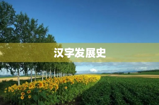 汉字发展史 汉字发展史