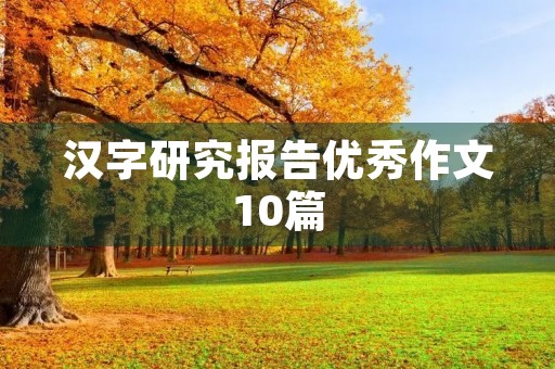 汉字研究报告优秀作文10篇