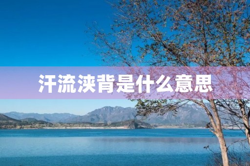 汗流浃背是什么意思