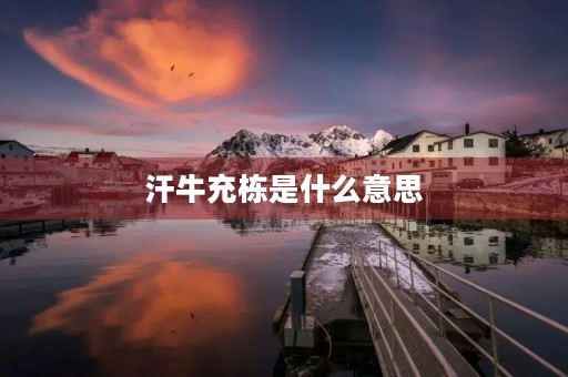 汗牛充栋是什么意思