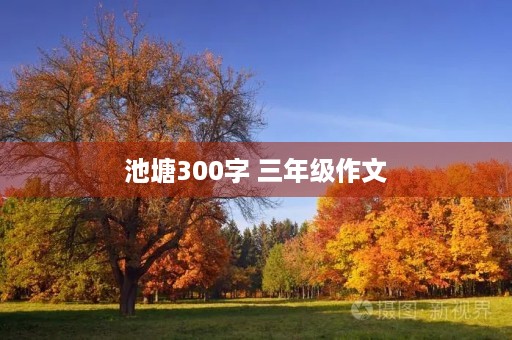 池塘300字 三年级作文