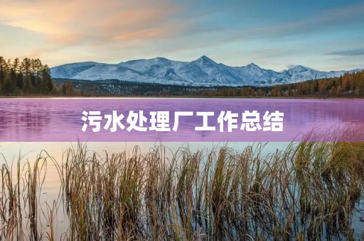污水处理厂工作总结