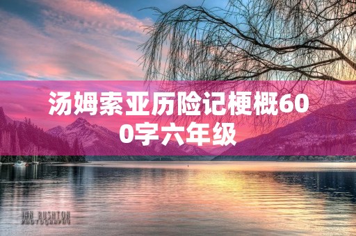 汤姆索亚历险记梗概600字六年级