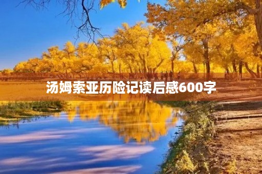 汤姆索亚历险记读后感600字