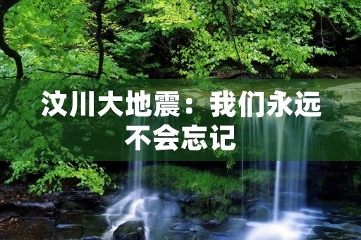 汶川大地震：我们永远不会忘记