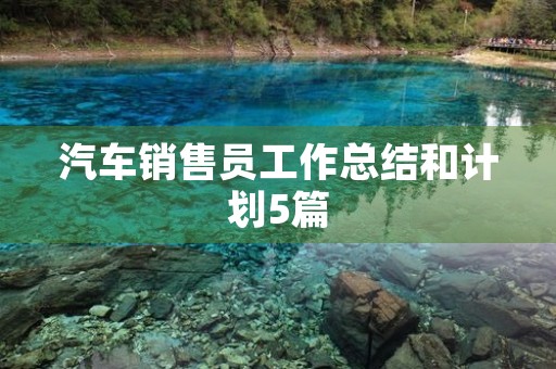 汽车销售员工作总结和计划5篇