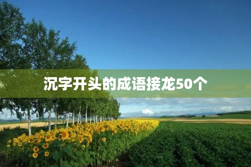 沉字开头的成语接龙50个