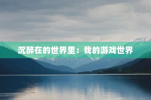 沉醉在的世界里：我的游戏世界