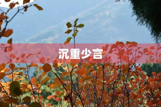 沉重少言
