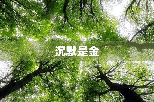 沉默是金,不一定是最好的选择 沉默是金,不一定是最好的选择