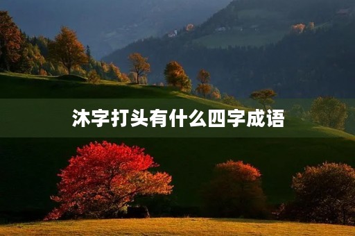 沐字打头有什么四字成语 沐字打头有什么四字成语