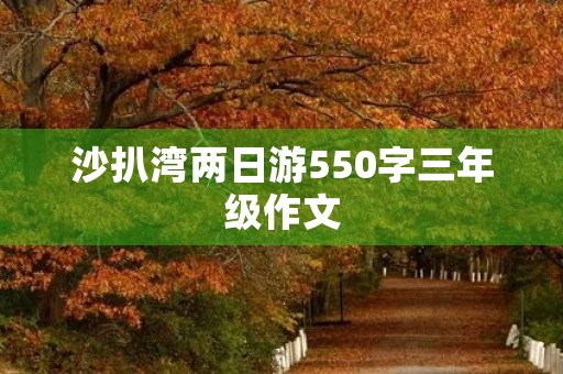 沙扒湾两日游550字三年级作文