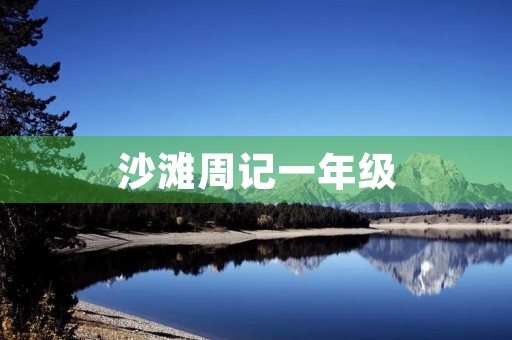 沙滩周记一年级 沙滩周记一年级