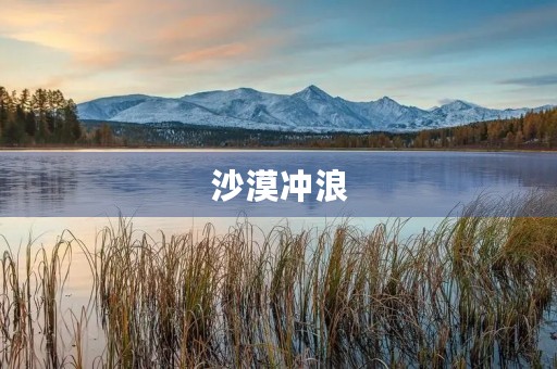 沙漠冲浪 沙漠冲浪
