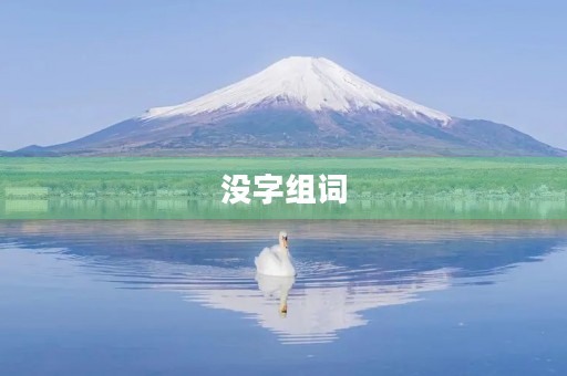 没字组词(没组词)