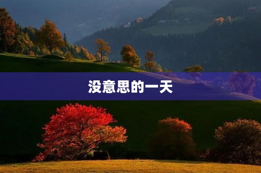 没意思的一天