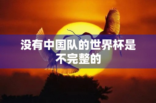 没有中国队的世界杯是不完整的 没有中国队的世界杯是不完整的
