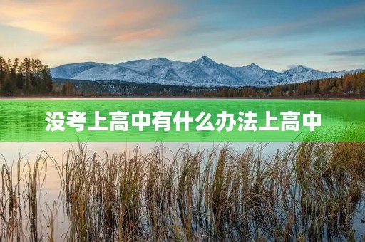 没考上高中有什么办法上高中 没考上高中有什么办法上高中
