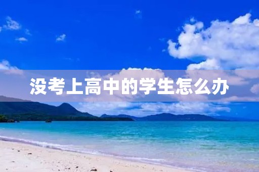 没考上高中的学生怎么办 没考上高中的学生怎么办
