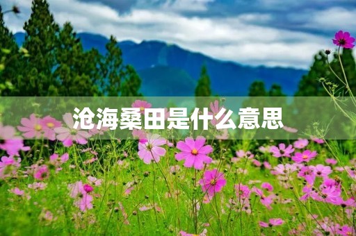 沧海桑田是什么意思 沧海桑田是什么意思