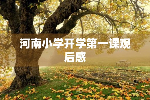 河南小学开学第一课观后感 河南小学开学第一课观后感