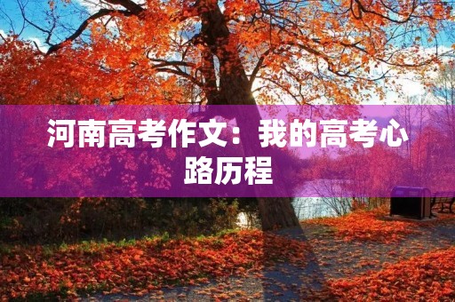 河南高考作文：我的高考心路历程