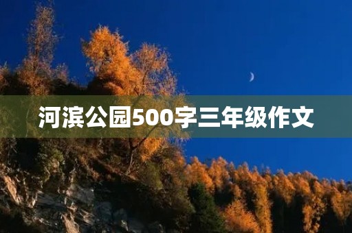 河滨公园500字三年级作文