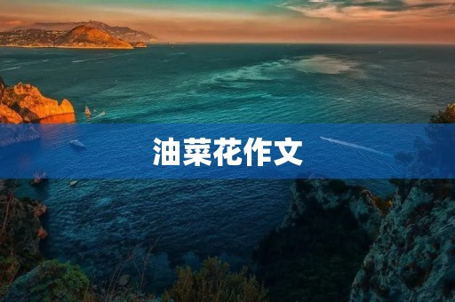 油菜花作文 油菜花作文
