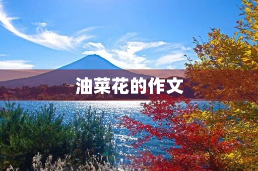 油菜花的作文