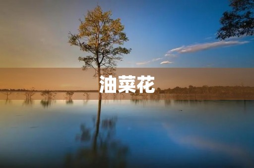 油菜花，春天的黄色海洋