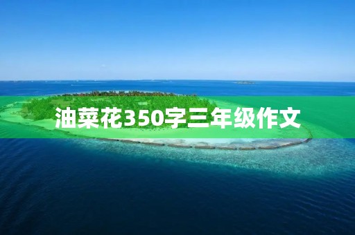 油菜花350字三年级作文