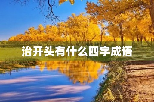 治开头有什么四字成语