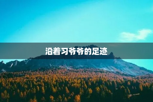 沿着习爷爷的足迹，寻访美丽龙泉400字