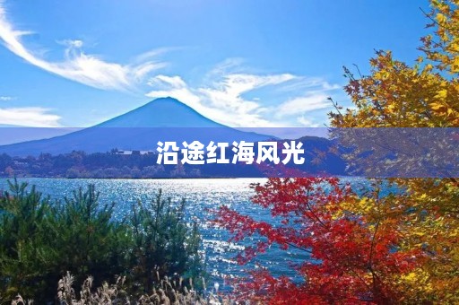 沿途红海风光 沿途红海风光