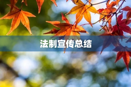 法制宣传总结