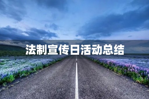 法制宣传日活动总结