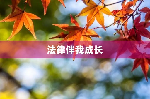 法律伴我成长 法律伴我成长