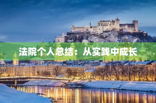 法院个人总结：从实践中成长