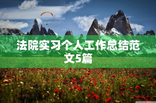 法院实习个人工作总结范文5篇