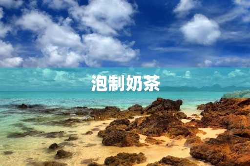 泡制奶茶 泡制奶茶