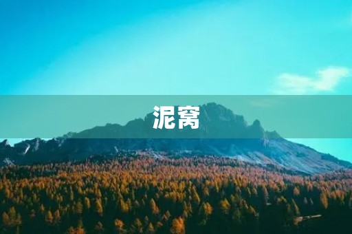 泥窝