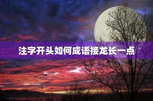 注字开头如何成语接龙长一点