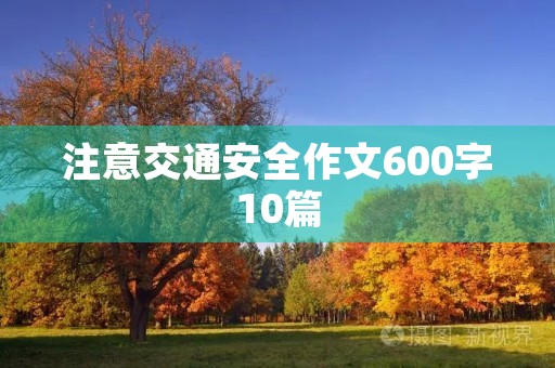 注意交通安全作文600字10篇 注意交通安全作文600字10篇