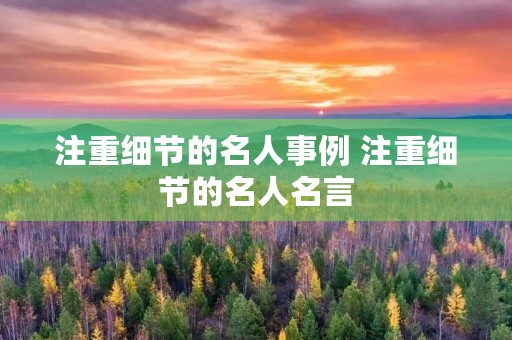 注重细节的名人事例 注重细节的名人名言