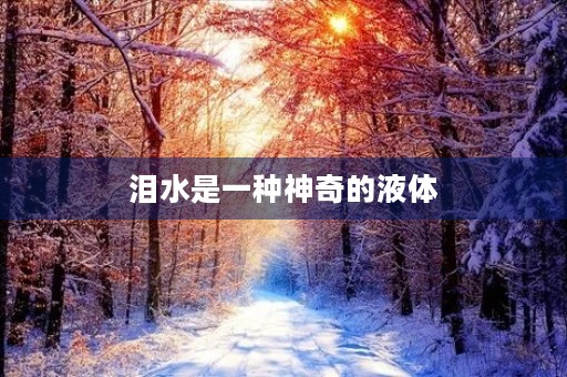 泪水是一种神奇的液体，它既能表达快乐，也能释放悲伤。在生活中，我们总会遇到各种各样的事情，有些让我们高兴得合不拢嘴，有些则让我们悲伤得泪如雨下。今天，我就来谈谈我对泪水的感悟。