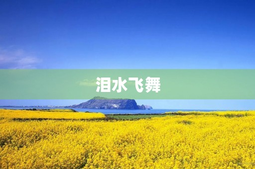 泪水飞舞 泪水飞舞